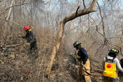 Los bomberos lograron apagar el fuego luego de dos días de labores.