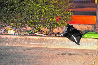 Las ratas han cavado túneles a lo largo de la peatonal y así se pasean a sus anchas por toda la avenida.