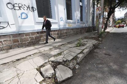 En esta zona existen parterres que se encuentran en mal estado, al igual que algunas calles.