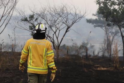 Bomberos llegaron la sitio para controlar el fuego en la autopista Narcisa de Jesús.