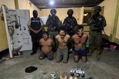 Los militares llevan un año tratando de desmantelar a varios grupos de delincuencia organizada.