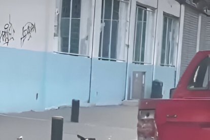 Captura de pantalla del momento en que una persona abandona al can.