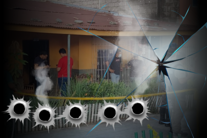 Un sujeto armado ingresó al inmueble y fue directamente a atacar a la joven madre.