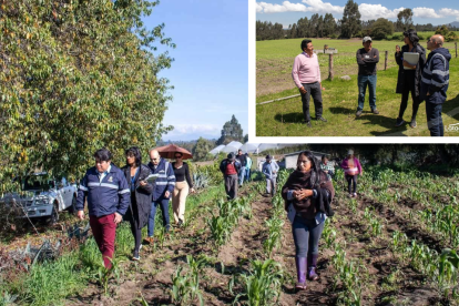 Personal municipal acudió al sitio donde se reportó el ataque a los perros.