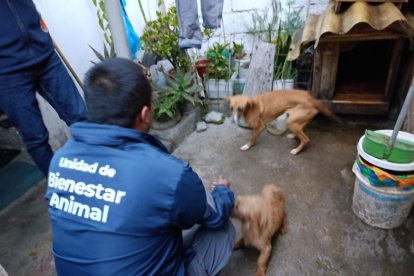 El maltrato fue registrado en flagrancia.