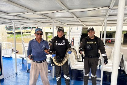 La serpiente medía más de dos metros de largo.