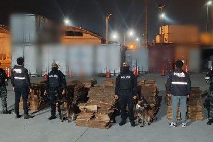 Agentes realizaron el descubrimiento con ayuda de canes.