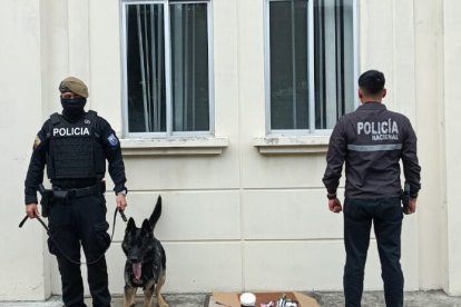 Agentes identificaron los paquetes sospechosos con ayuda de un can.