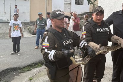 La unidad especializada en cuidado del medio ambiente de la Policía se encargó de rescatar a la serpiente.