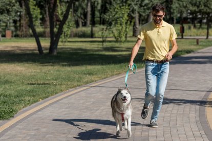 Un perro disfrutando de un paseo al aire libre con su dueño.