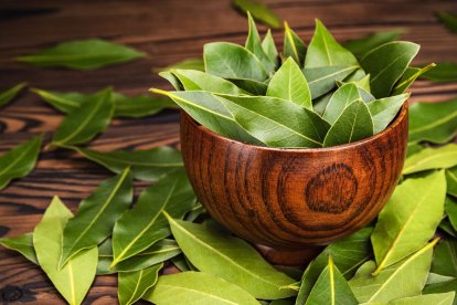 El laurel ha sido asociado como un símbolo de prosperidad, según una antigua filosofía china.