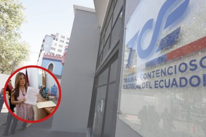 El TCE es el organismo al que se le presentó la denuncia.