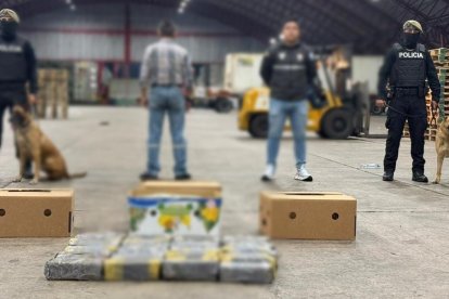 El cargamento fue detectaron por perros antidrogas del CRAC.