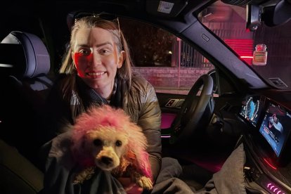 La perrita fue cubierta con una manta luego de que la rescataran.