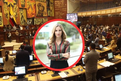 Gabriela Goldbaum solicitó ser recibida por el pleno de la Asamblea Nacional.