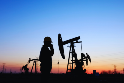 Referencial | Se pretendía adjudicar Sacha a empresa extranjera.