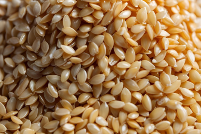 El sésamo, una pequeña semilla con grandes beneficios para la salud ósea.