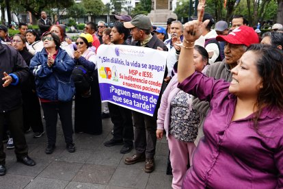 La representante de los pacientes envió cartas a embajadas para que brinden ayuda.