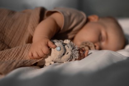 La clave de la memoria infantil podría estar en el hipocampo y su evolución temprana.