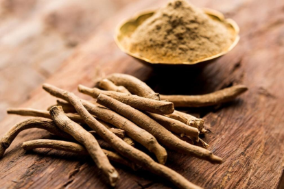 Withania somnifera: el nombre científico detrás del suplemento que está revolucionando el autocuidado