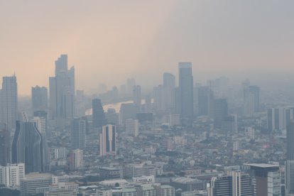 La OMS insta a tomar medidas urgentes para reducir los efectos nocivos de la contaminación en la población.