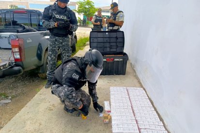 El cargamento estaba distribuido en 20 paquetes.