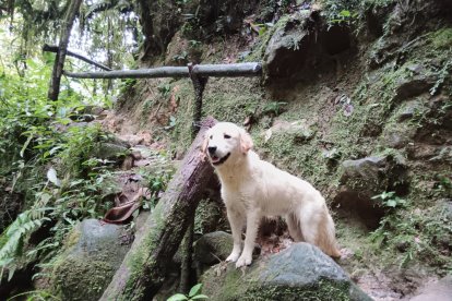 Luna es la décima guía del centro turístico Gran Cañón de Nachiyacu. Su ternura y carisma la han convertido en la favorita de los visitantes.