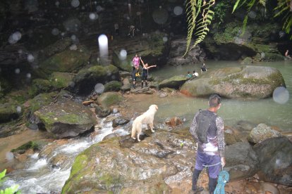 Luna conoce todos los senderos que se encuentran en el río.
