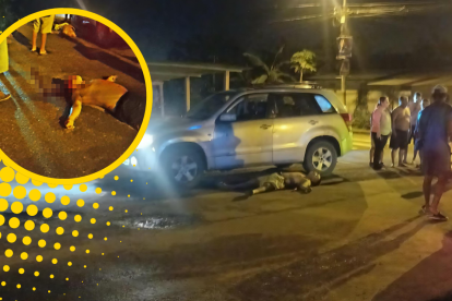 Uno de los hermanos quedó inerte junto a un vehículo y el otro a poca distancia