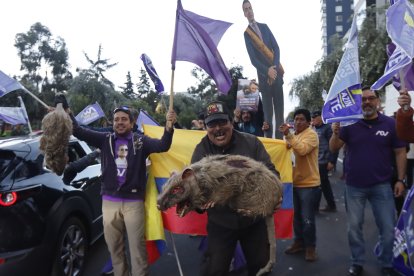 Simpatizantes de Daniel Noboa celebraron su victoria con ratas de peluche y cartones de su imagen tras el anuncio del CNE.