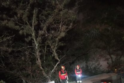 El bus terminó dentro de una hondonada.