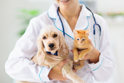 Veterinaria gratis en Guayaquil: así puedes acceder.