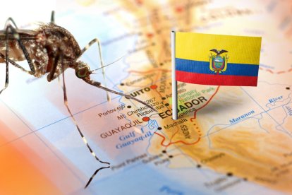 Confirman caso aislado de fiebre amarilla en Ecuador; autoridades activan protocolos de vigilancia y control.