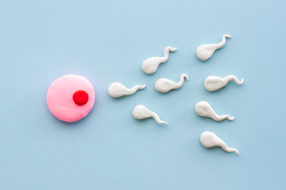 La simulación del recorrido espermático se hará en un chip microfluídico, la pista de carreras más pequeña del mundo.