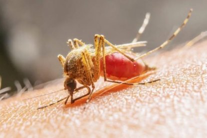 Salud confirmó la muerte del primer paciente.