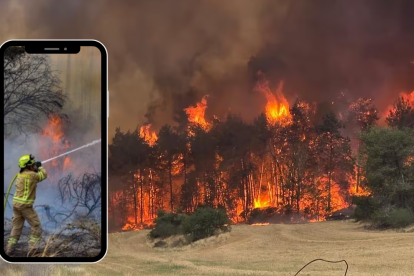 Un incendio forestal masivo ha arrasado por completo la Reserva Natural de Einot Gibton, en el centro de Israel.
