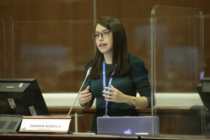 Jahiren Noriega dice que no hay mayoría en la Asamblea.