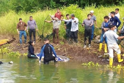 Rescatistas debieron bucear para hallar los cuerpos en la represa.