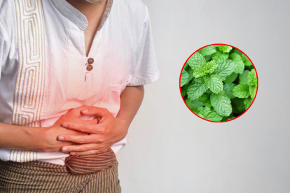 Esta planta medicinal posee varias propiedades que favorecen una digestión más eficaz.