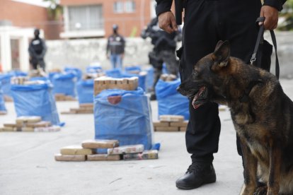 REFERENCIA. Los bloques habrían sido sustraídos de las bodegas de la Unidad Canina de la Zona 8.