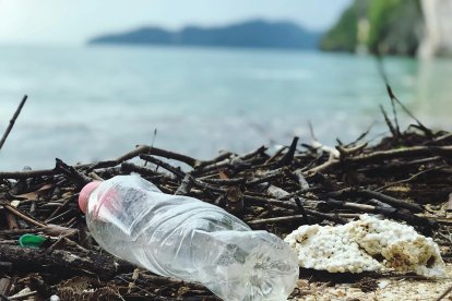 Recicladores de base: la primera línea olvidada en la gestión de residuos.