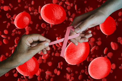 Una jornada de reflexión y esperanza en el Día Mundial del Cáncer de Sangre.