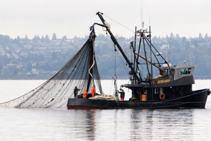 Se elimina el subsidio del diésel para el sector pesquero en Ecuador.