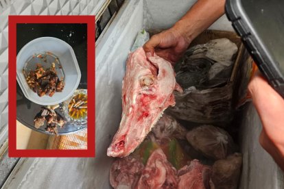 Este fue uno de los cráneos sin identificar que encontró Arcsa en ese comedor. / Guiso servido en el comedor clausurado, junto a cenicero con colillas de cigarro.