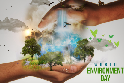 La restauración de ecosistemas es clave para enfrentar el cambio climático y proteger la vida silvestre.