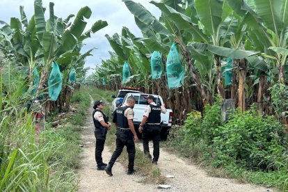 El cadáver de una mujer fue hallado enterrado en una bananera en Machala.
