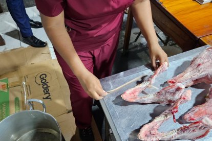 Ministerio de Ambiente confirmó que los cráneos no eran de perro, sino de chancho.