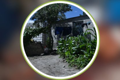 La muerte de la mujer, de 61 años, se registró en La Roldós, noroccidente de Quito.