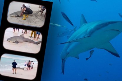 El hecho ocurrió en la playa de Crucita, ubicada en la provincia de Manabí.