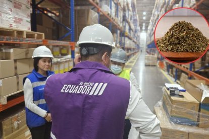 Incautan tonelada de orégano no apto para consumo humano